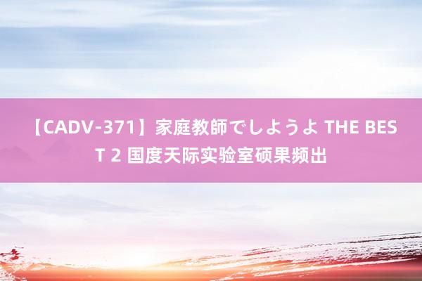 【CADV-371】家庭教師でしようよ THE BEST 2 国度天际实验室硕果频出