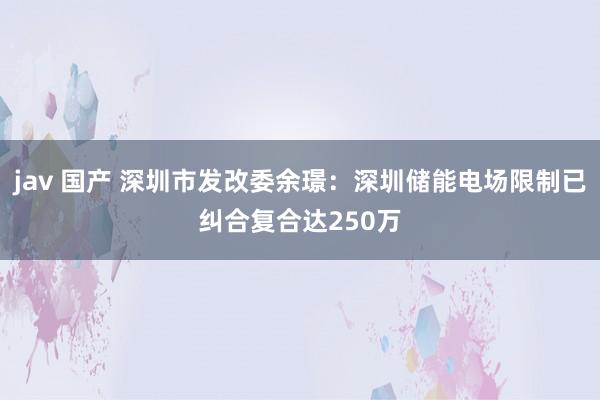 jav 国产 深圳市发改委余璟：深圳储能电场限制已纠合复合达250万