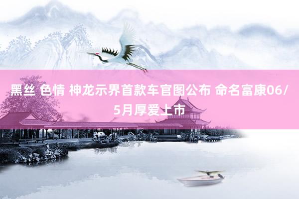 黑丝 色情 神龙示界首款车官图公布 命名富康06/5月厚爱上市