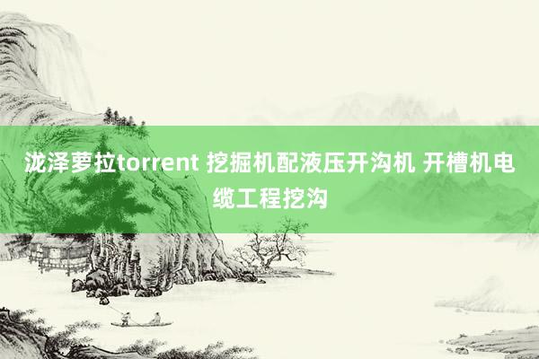 泷泽萝拉torrent 挖掘机配液压开沟机 开槽机电缆工程挖沟