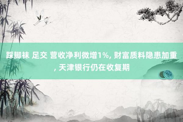 踩脚袜 足交 营收净利微增1%, 财富质料隐患加重, 天津银行仍在收复期
